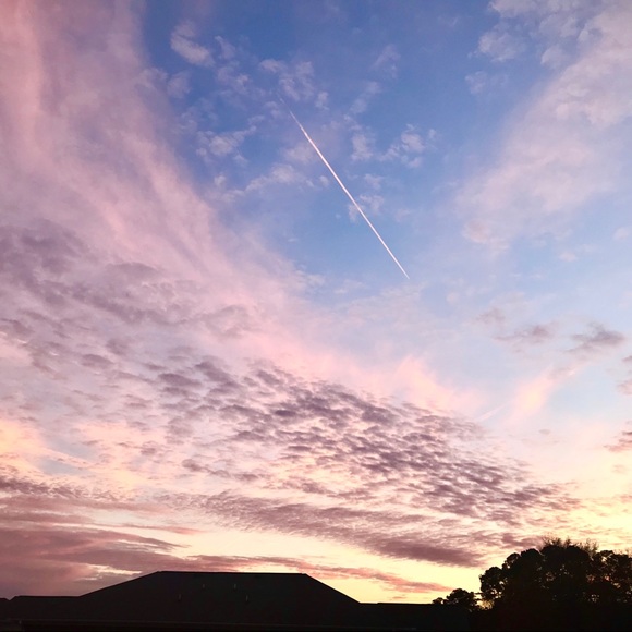 Meet your Posher, Nelly - Picture 1 of 1